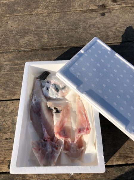 釣り堀水宝 釣果