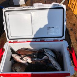 釣り堀水宝 釣果