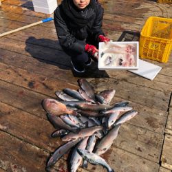 釣り堀水宝 釣果