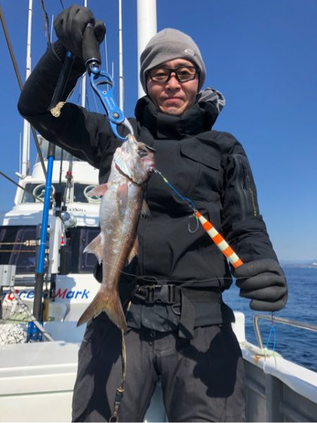 ＴＡＲＯＭＡＲＵ 釣果