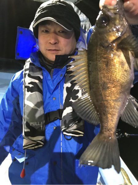 ヤザワ渡船 釣果