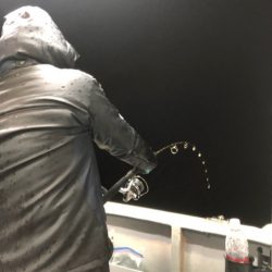 ＴＡＲＯＭＡＲＵ 釣果