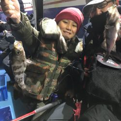 ヤザワ渡船 釣果