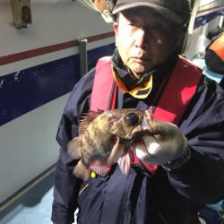 ヤザワ渡船 釣果