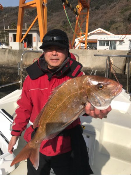 遊漁船メテオ 釣果