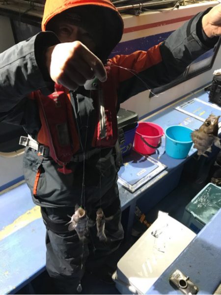 ヤザワ渡船 釣果