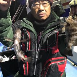 ヤザワ渡船 釣果