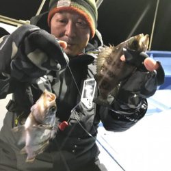 ヤザワ渡船 釣果