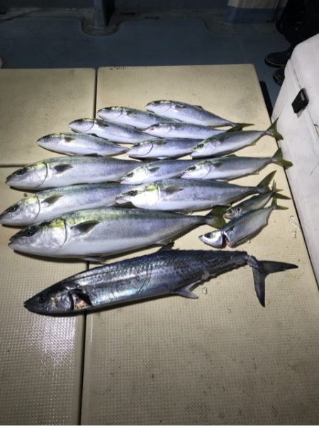 Monster Rush! 釣果