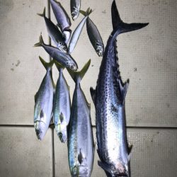 Monster Rush! 釣果