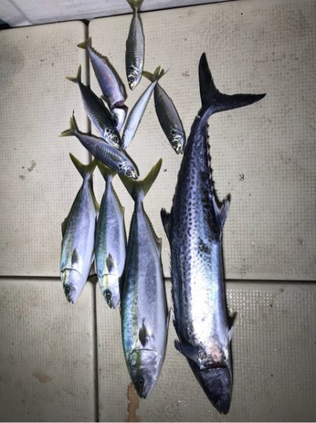 Monster Rush! 釣果