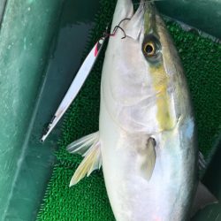 Monster Rush! 釣果