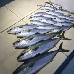 Monster Rush! 釣果