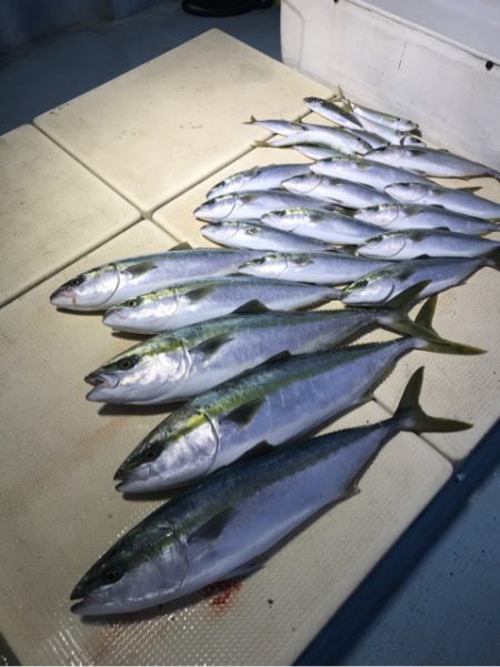 Monster Rush! 釣果