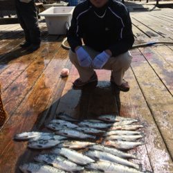 釣り堀水宝 釣果