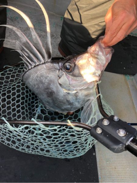 ＴＡＲＯＭＡＲＵ 釣果