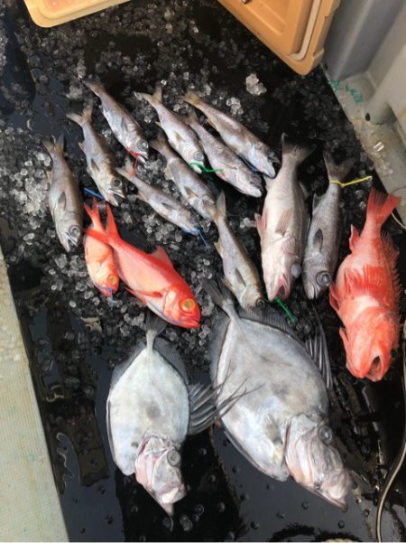 ＴＡＲＯＭＡＲＵ 釣果