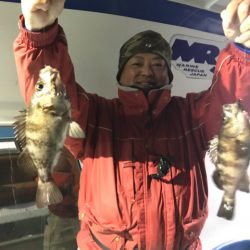 ヤザワ渡船 釣果