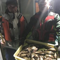 ヤザワ渡船 釣果
