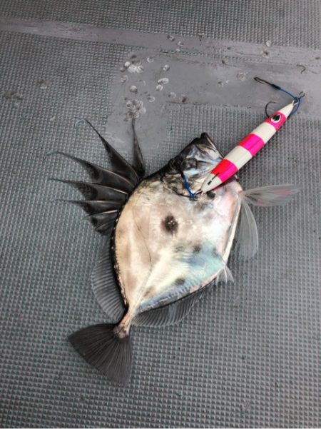 ＴＡＲＯＭＡＲＵ 釣果