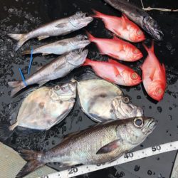 ＴＡＲＯＭＡＲＵ 釣果