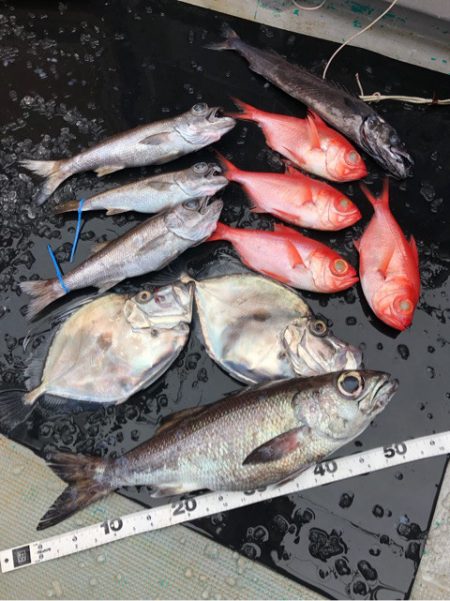 ＴＡＲＯＭＡＲＵ 釣果