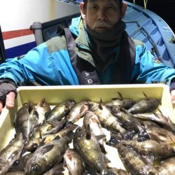 ヤザワ渡船 釣果