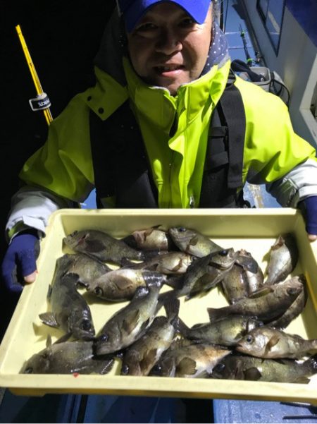 ヤザワ渡船 釣果