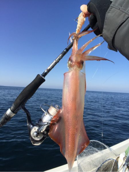 「LaGooN」蒼陽丸 日和号 釣果