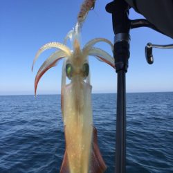 「LaGooN」蒼陽丸 日和号 釣果