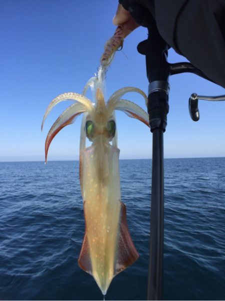 「LaGooN」蒼陽丸 日和号 釣果