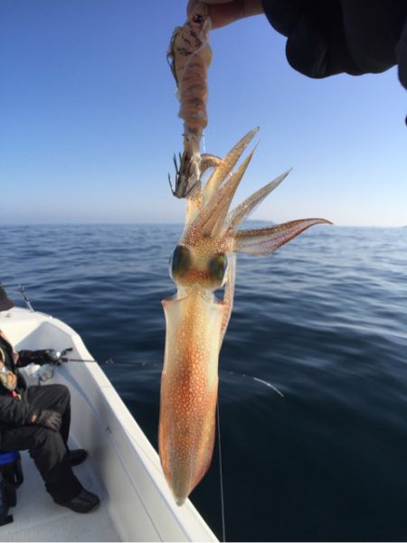 「LaGooN」蒼陽丸 日和号 釣果