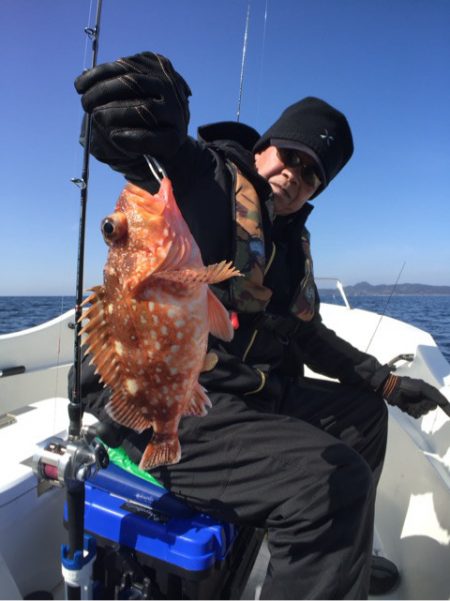 「LaGooN」蒼陽丸 日和号 釣果