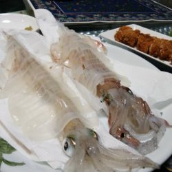 「LaGooN」蒼陽丸 日和号 釣果