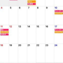 「LaGooN」蒼陽丸 日和号 釣果