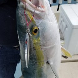 Monster Rush! 釣果