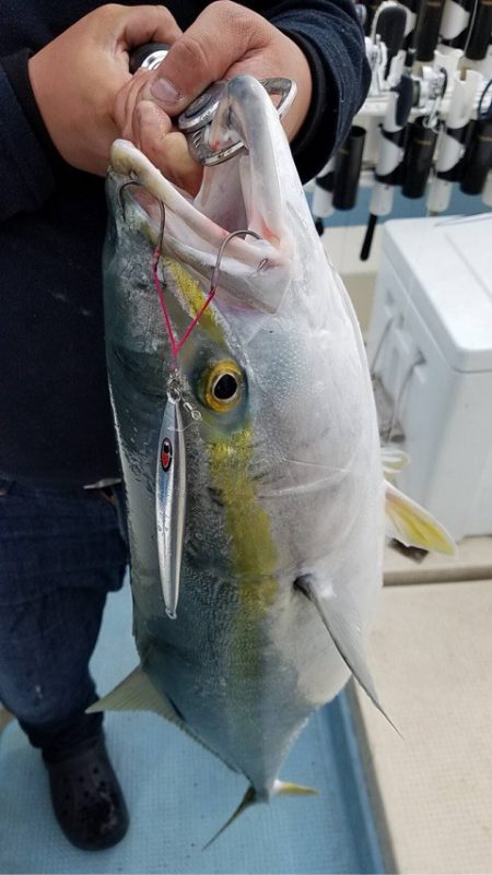 Monster Rush! 釣果