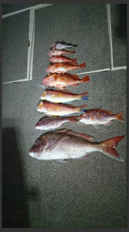 ARCADIAⅡ （アルカディアⅡ） 釣果