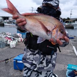 富士丸 釣果