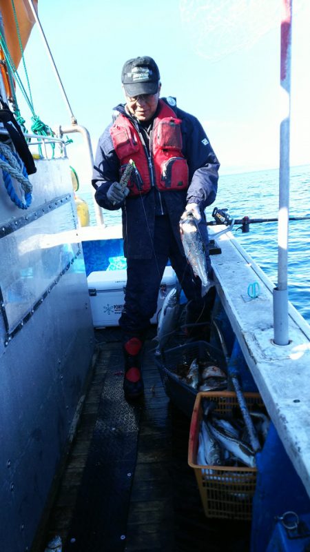 芳陽丸 釣果