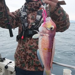 ARCADIAⅡ (アルカディアⅡ) 釣果