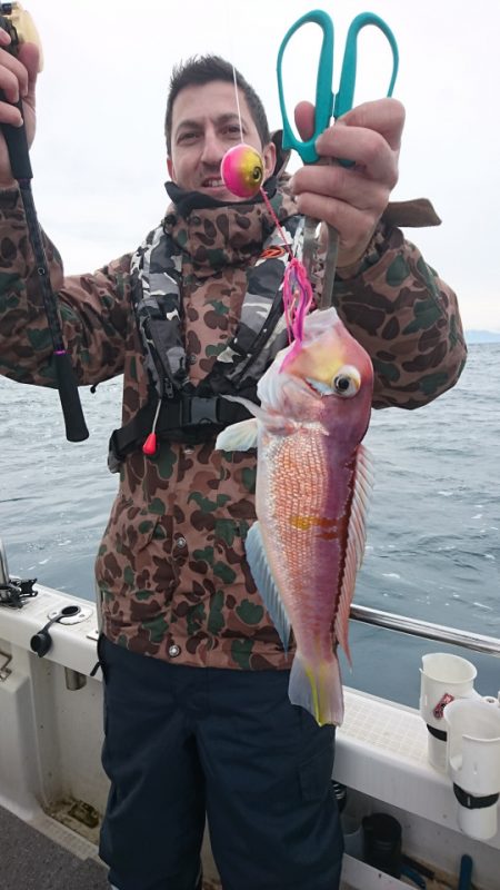 ARCADIAⅡ (アルカディアⅡ) 釣果