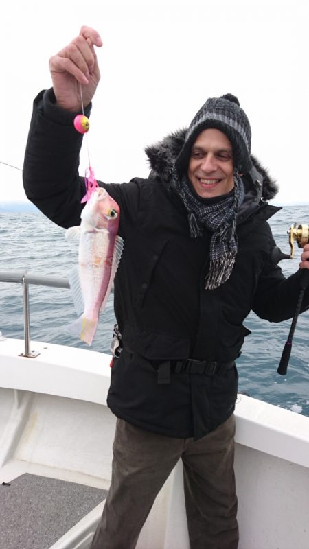 ARCADIAⅡ (アルカディアⅡ) 釣果