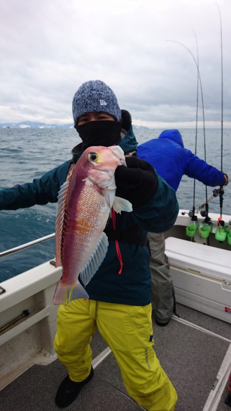 ARCADIAⅡ (アルカディアⅡ) 釣果