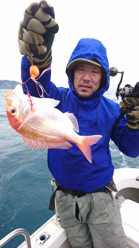 ARCADIAⅡ (アルカディアⅡ) 釣果