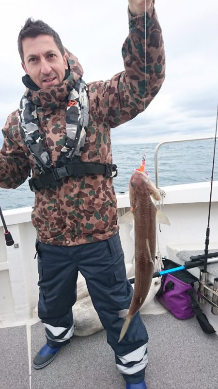 ARCADIAⅡ (アルカディアⅡ) 釣果