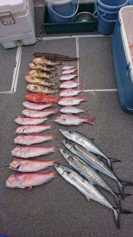 ARCADIAⅡ (アルカディアⅡ) 釣果