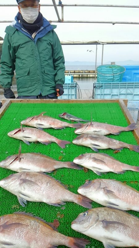海の釣堀 海恵 釣果