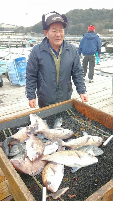 海の釣堀 海恵 釣果