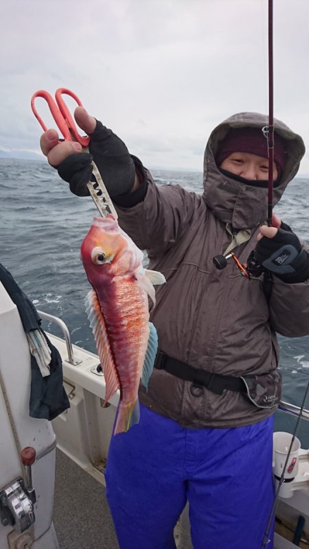 ARCADIAⅡ (アルカディアⅡ) 釣果